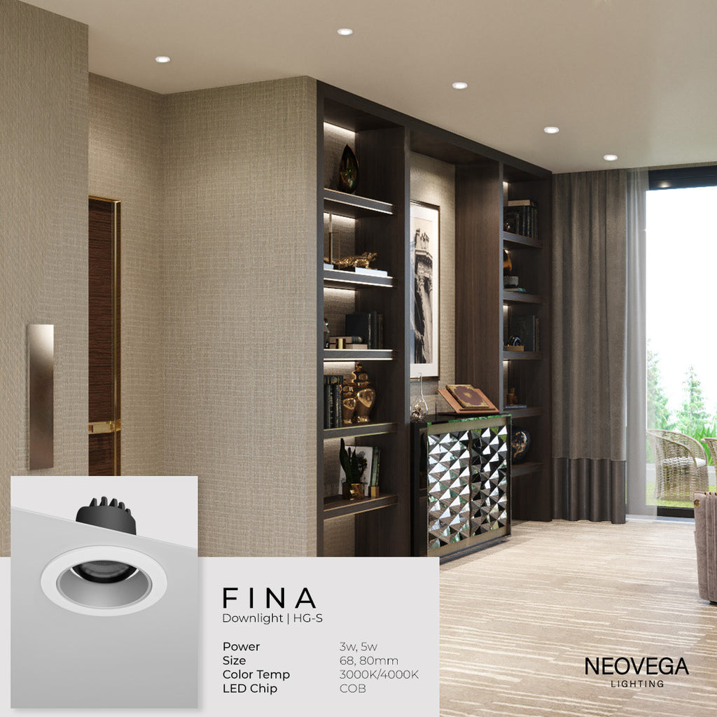 Fina